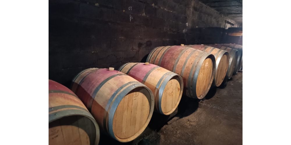 Cave avec barriques à visiter dans la vallée de la Loire