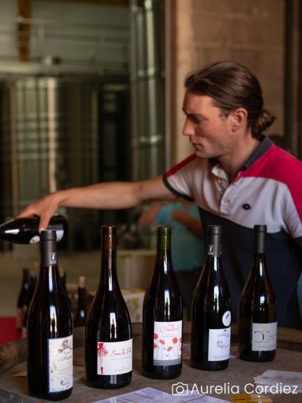 Tasting our vintages