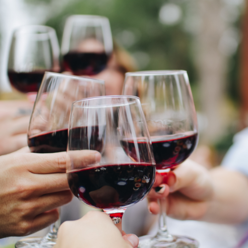 Rencontrez et trinquez avec des vignerons à Saint Nicolas de Bourgueil