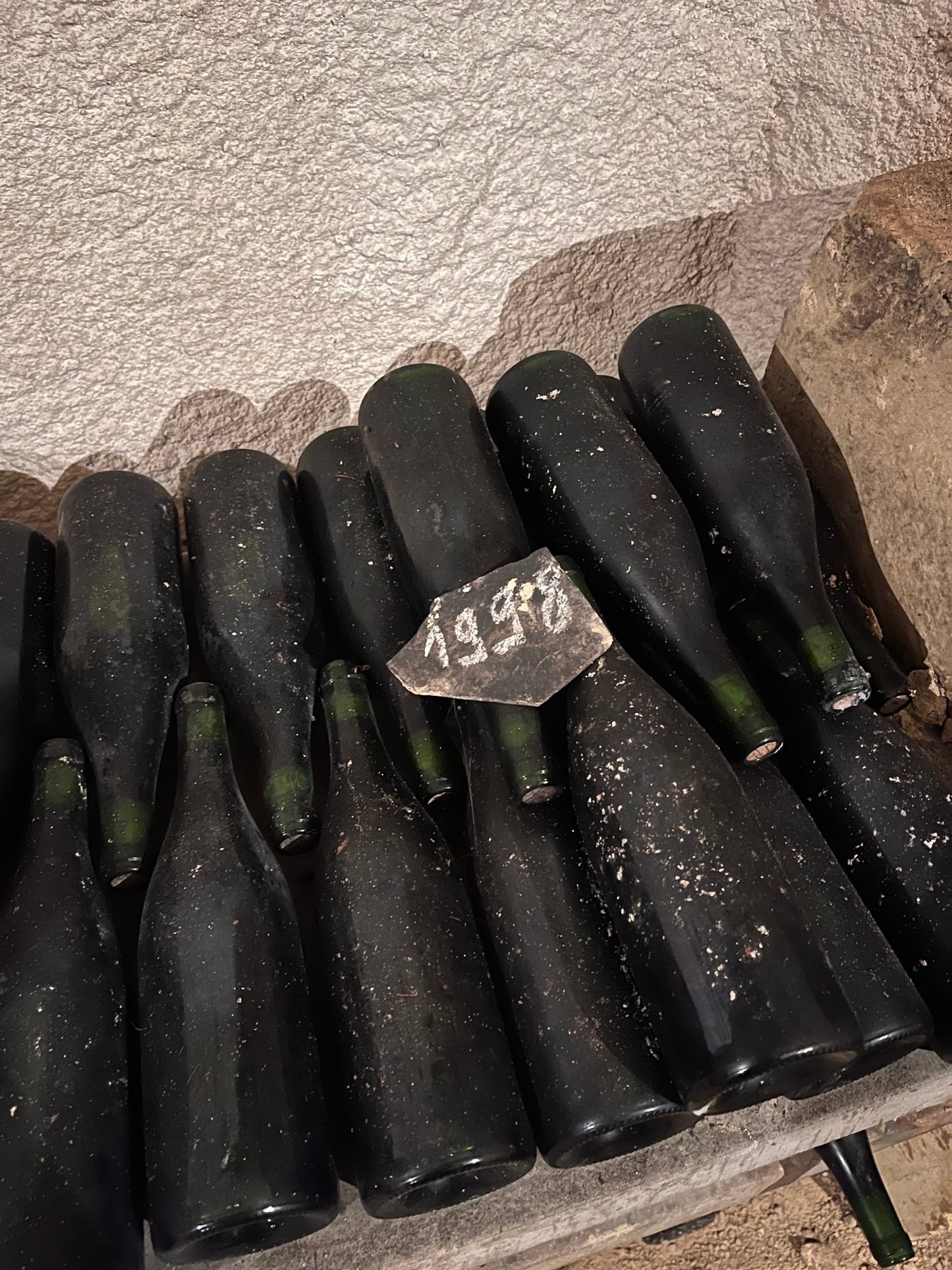 Vieux millésimes de vins Saint Nicolas de Bourgueil