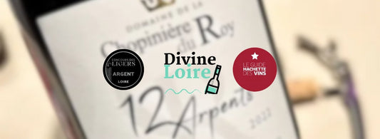 Avis et dégustation de la cuvée des 12 Arpents 2022, d'un passionné des vins de Loire !