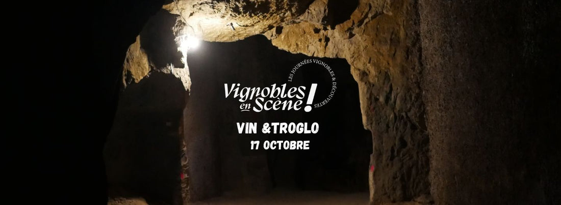 cave troglodyte du Xème siècle en pierre de tuffe Saint Nicolas de Bourgueil