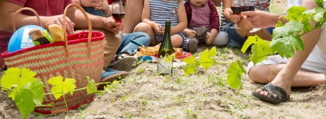 Pique nique dans les vignes de Saint Nicolas de Bourgueil