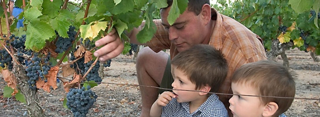 Famille de vignerons à Saint Nicolas de Bourgueil