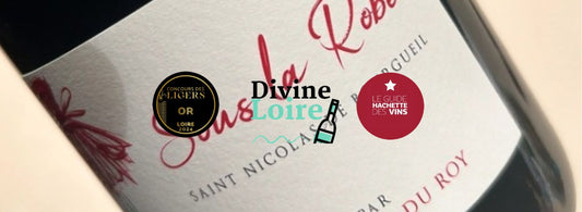 cuvée Sous la Robe Domaine de la Chopinière du Roy avis par divine Loire