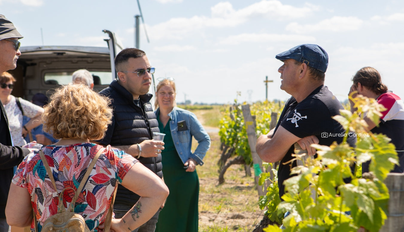 Randonnée dans les vignes de Saint Nicolas de Bourgueil