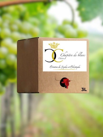 Cubi Chenin White Wine - 5 liters
