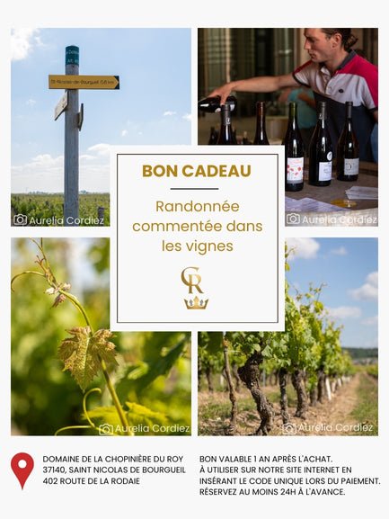 Cartes cadeaux visites oenotouristiques du Domaine de la Chopinière du Roy