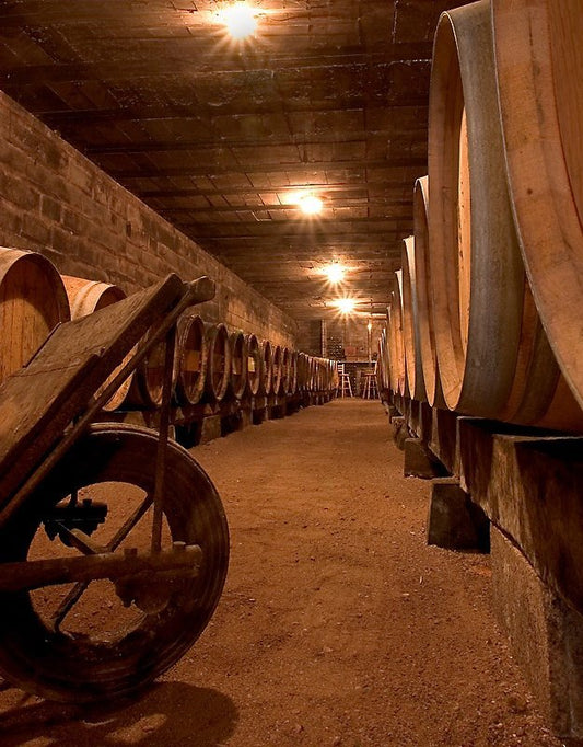 Visite du domaine et histoire de l'appellation