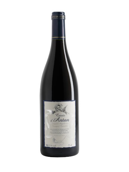 Cuvée d'Antan 2021 - Vin Bourgueil - Carton 6 Bouteilles
