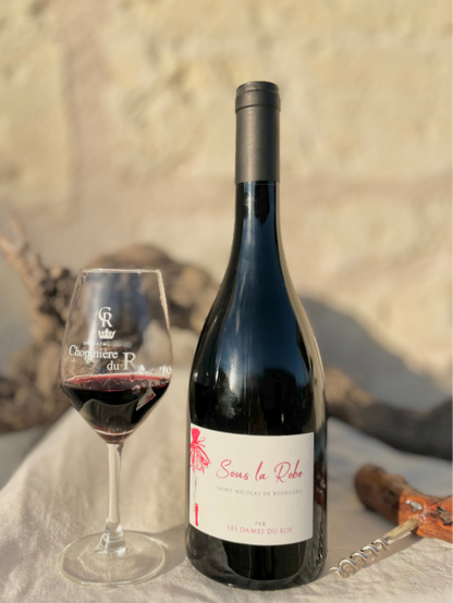 Cuvée Sous la Robe 2023 - Vin Saint Nicolas de Bourgueil - Carton 6 Bouteilles