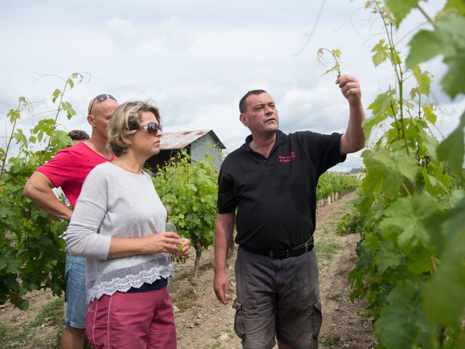 Découvrir le métier de vigneron avec une randonnée et des explications