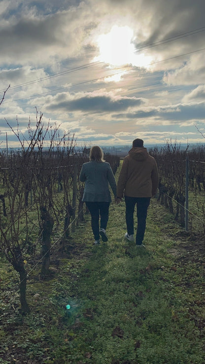 Randonnée commentée avec un vigneron dans les vignes de Saint Nicolas de Bourgueil