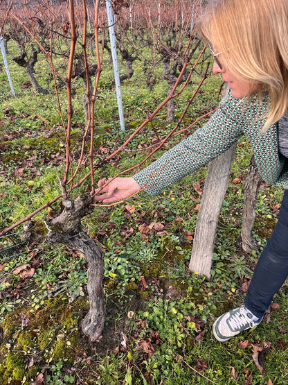 Randonnée commentée avec un vigneron dans les vignes dans la vallée de la Loire