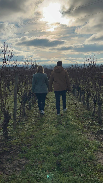 Photo de paysage des vignes à Saint Nicolas de Bourgueil pendant une randonnée commentée