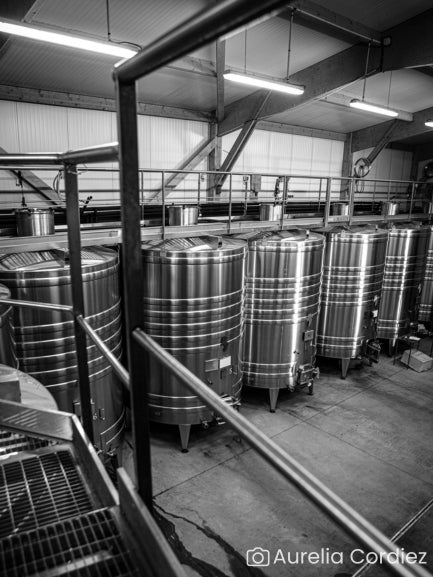 Visit of the estate and history of the appellation