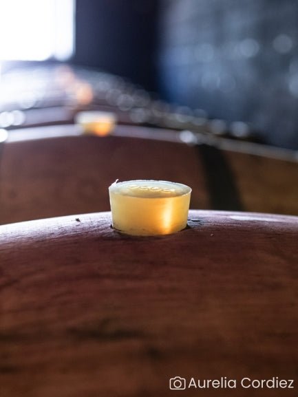 Visit of the estate and history of the appellation