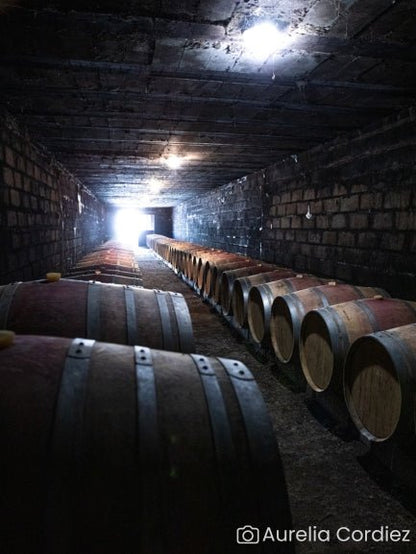 Visit of the estate and history of the appellation