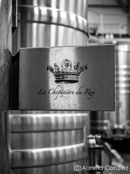 Visit of the estate and history of the appellation