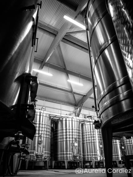 Visite du domaine et histoire de l'appellation, vue des chais et cuves en acier inoxydable.