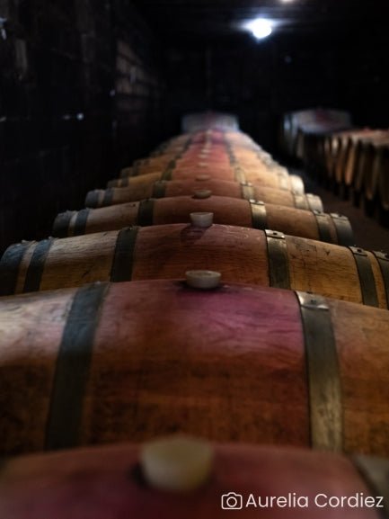 Visite du domaine et histoire de l'appellation - découvertes des chais dans la cave avec des tonneaux de vin.