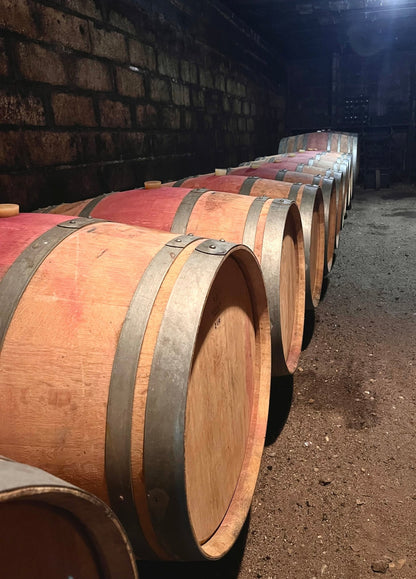 Cave et tonneaux de vin