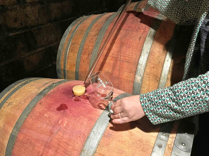 Dégustation du vin depuis la barrique à Saint Nicolas de Bourgueil lors de la visite de cave