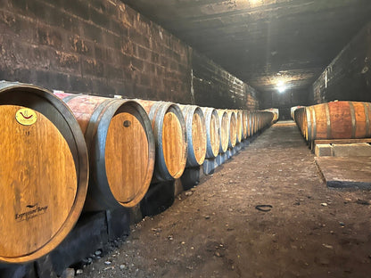 Cave à visiter à Saint Ncolas de Bourgueil chez le vigneron