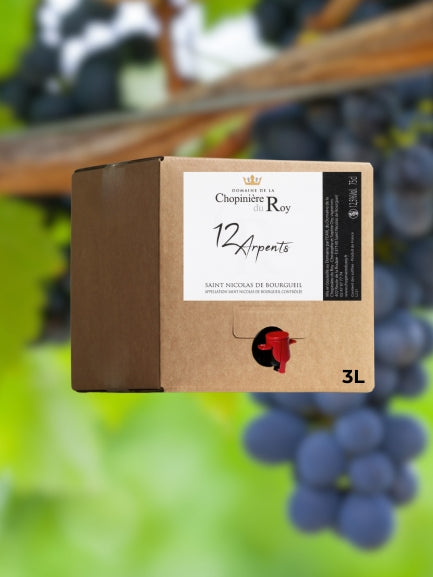 Cubi de Vin Rouge St Nicolas de Bourgueil 2024 - 3 litres